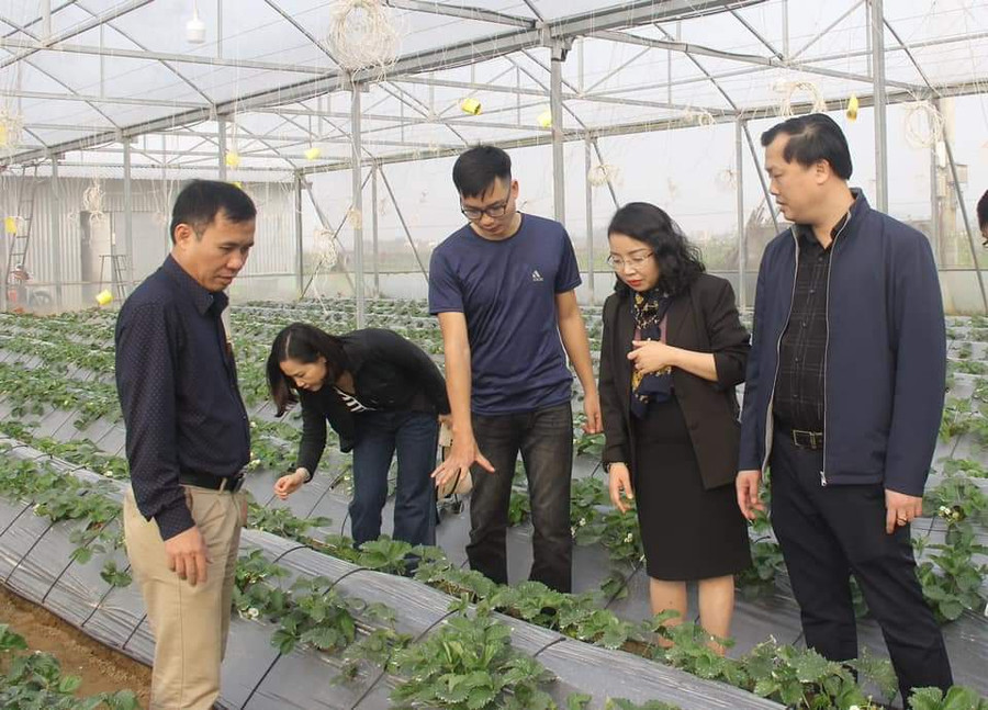 Lãnh đạo H.Hưng Nguyên thăm mô hình trang trại nông nghiệp công nghệ cao đầu tiên của huyện do thanh niên Nguyễn Văn Sơn (giữa) khởi nghiệp. Ảnh: NVCC